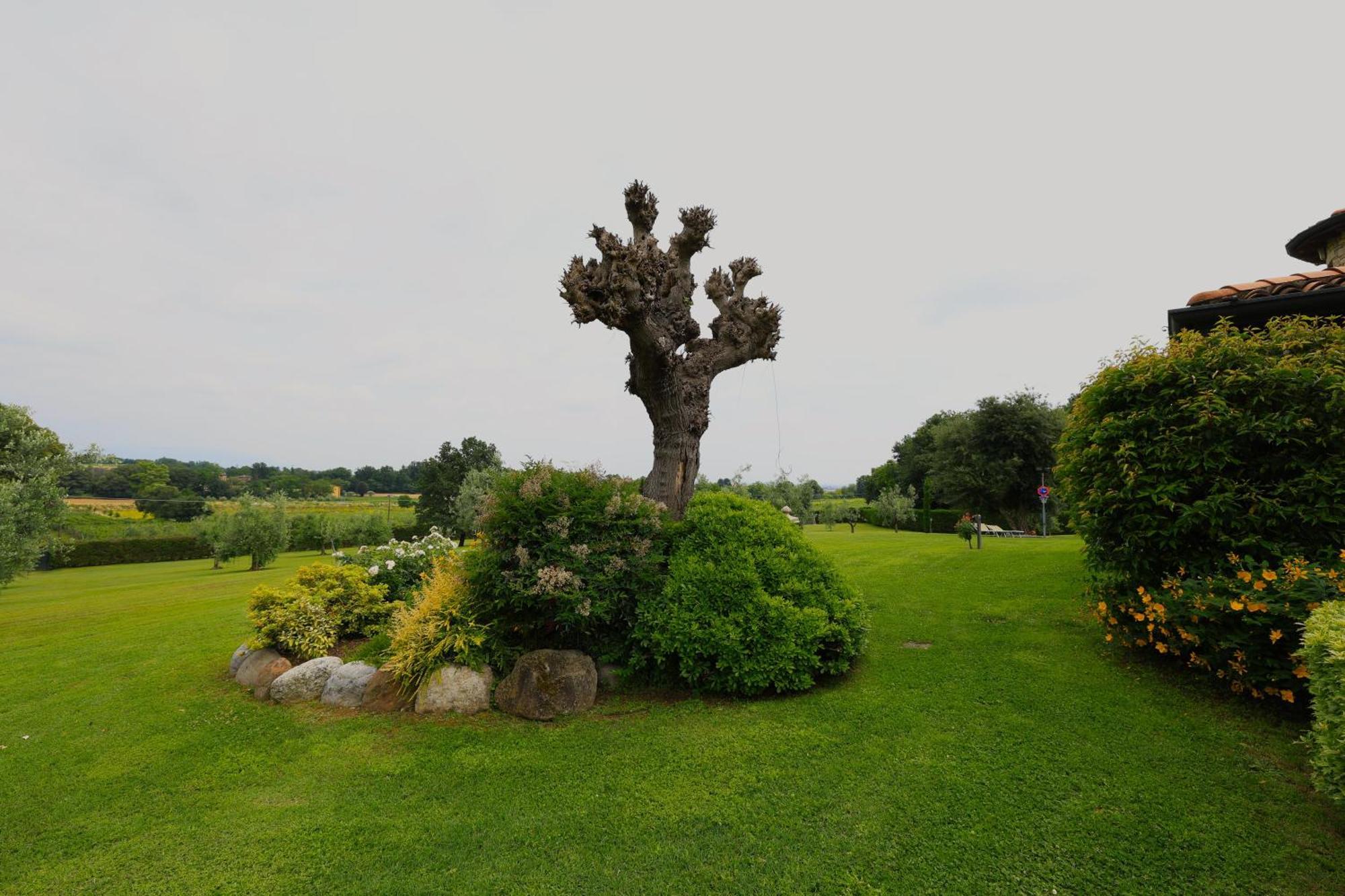 Villa Pedergnano Villa Cristina מראה חיצוני תמונה